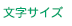 文字サイズ